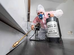 Best Fumigation Services  in Long Neck, DE